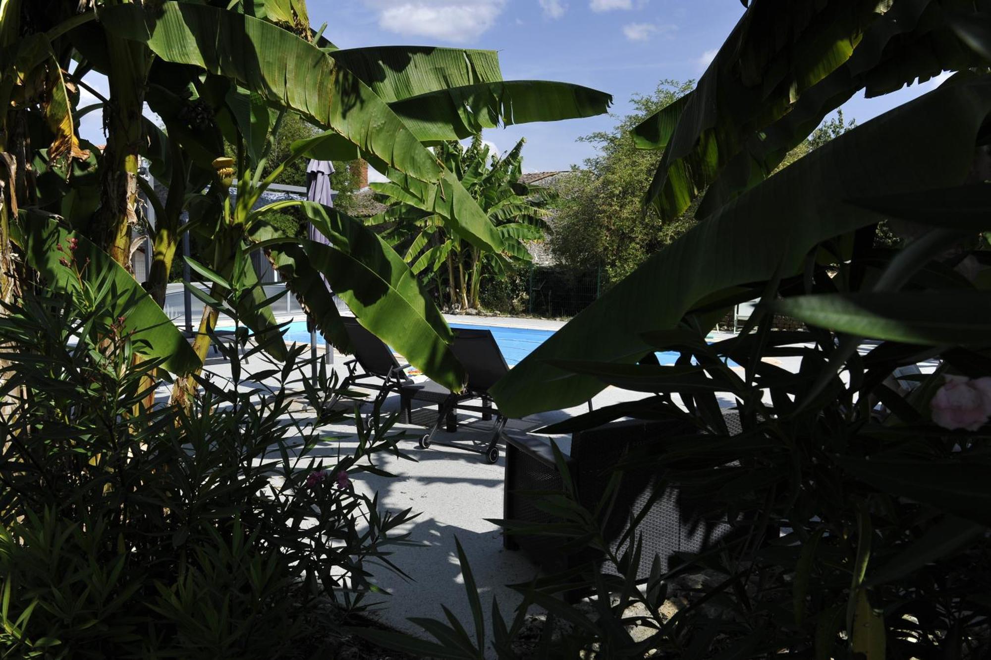 Gites Jardin-Darcy - Piscine Au Sel Bois Экстерьер фото